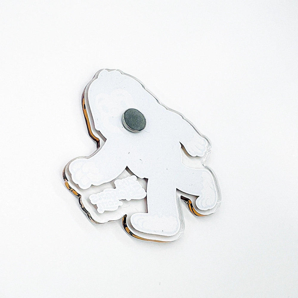 Acrylic Magnets